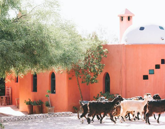 Une expérience... unique !