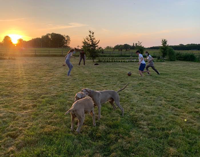 fooball masqué