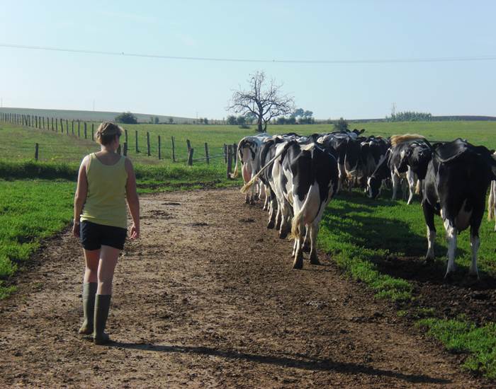 la conduite au pré