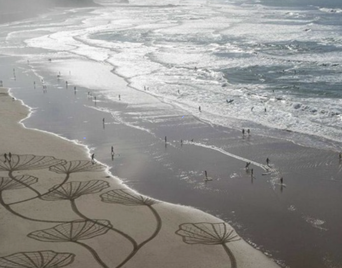 Capture d’écran 2016-11-06 à 13