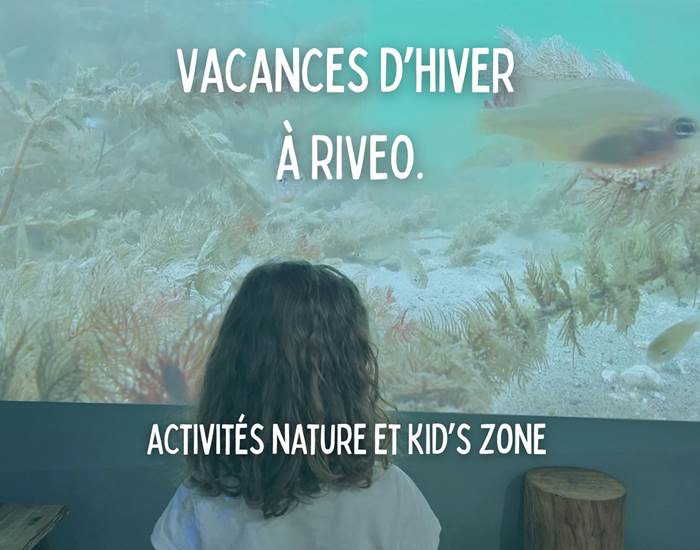 activite-vacance-noel-famille-ardenne