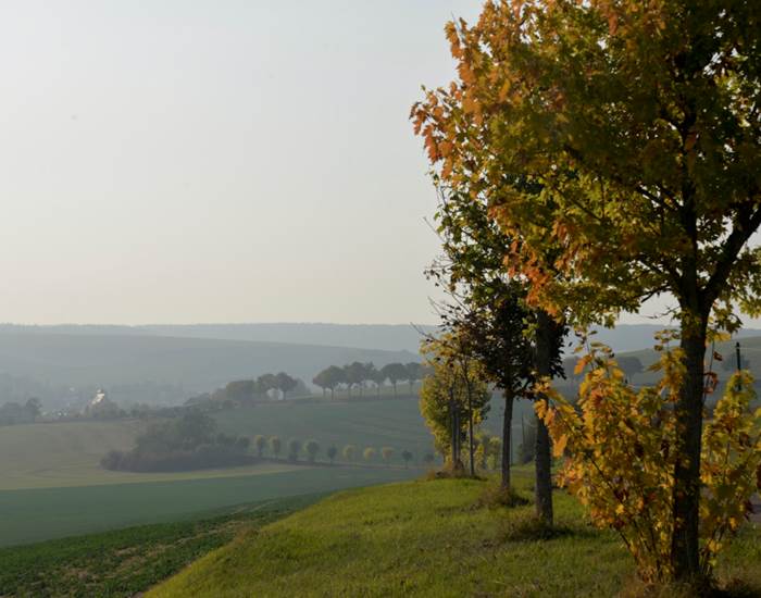 Gîte La Mélinothe à Paisy-Cosdon - Aube en Champagne - Le charme du Pays d'Othe
