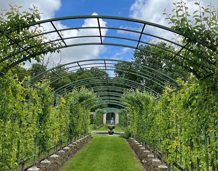 ALLEE CENTRALE DES VERGERS-POTAGERS