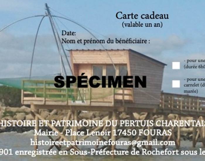 Sans titre