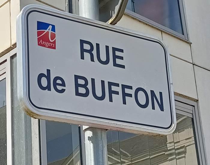 Villa Buffon Angers, 22 rue de Buffon