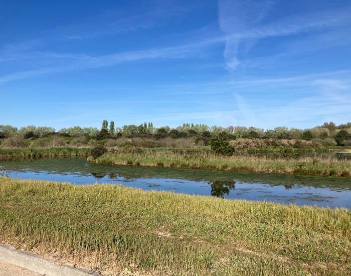 Marais des Bris