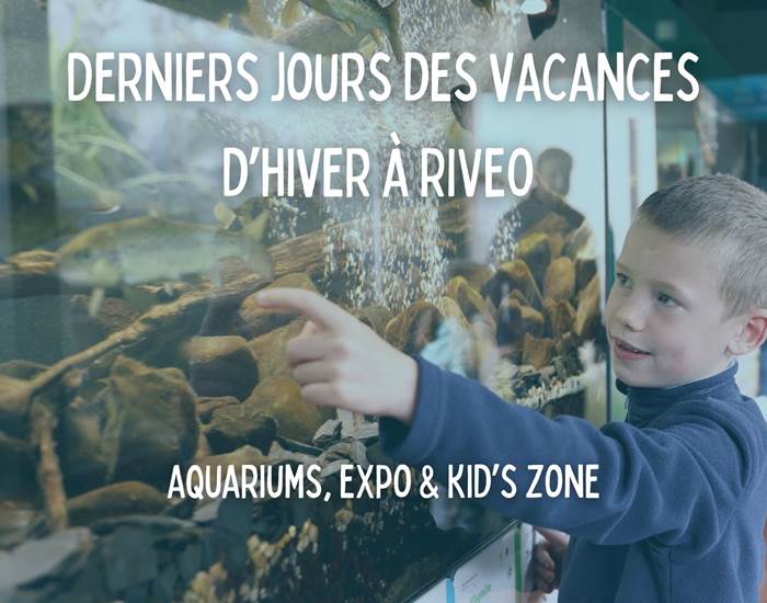 activite-famille-interieur-aquarium-enfant