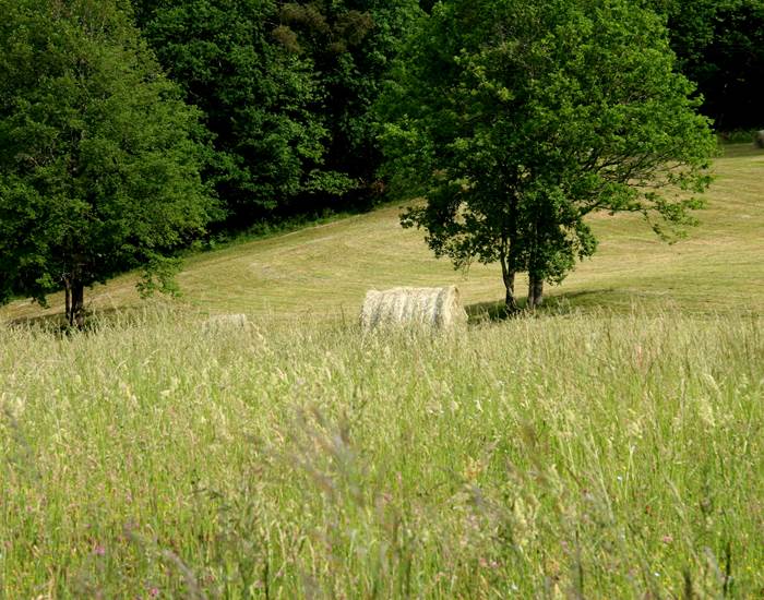 Nature-page