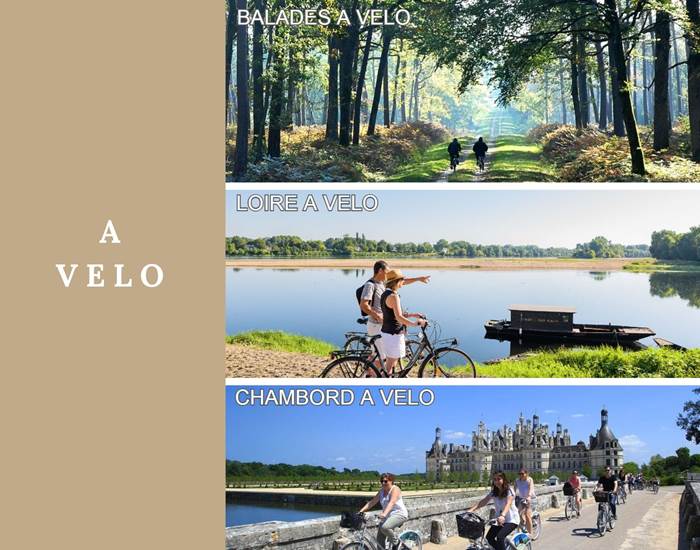 Domaine du Gué du Roi A Velo