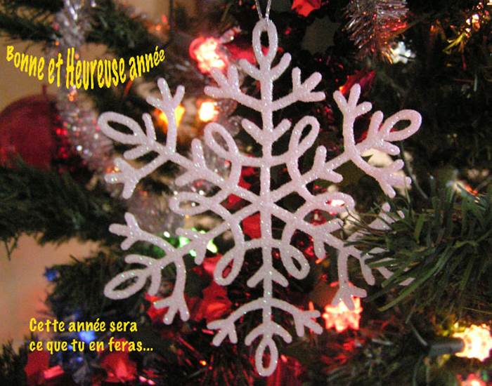 Meilleurs vœux 2026