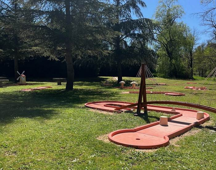 Mini-golf