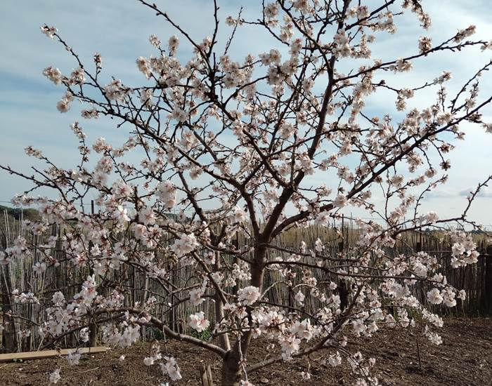 Le printemps est de retour