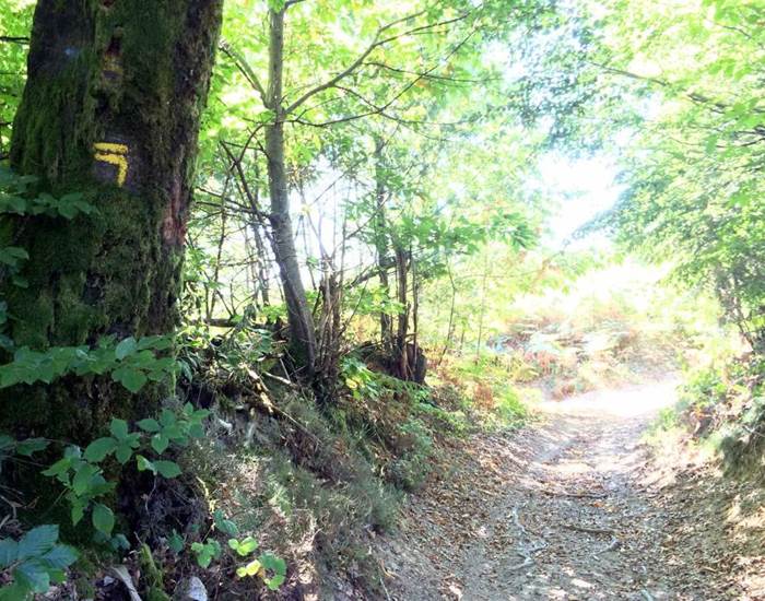 Sentier des Demoiselles