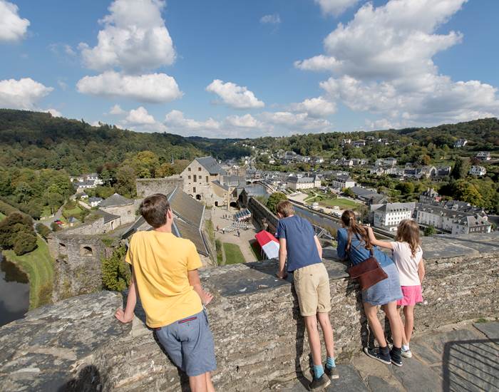 Vue époustouflante depuis la tour d'Autriche (© D. SAMYN)