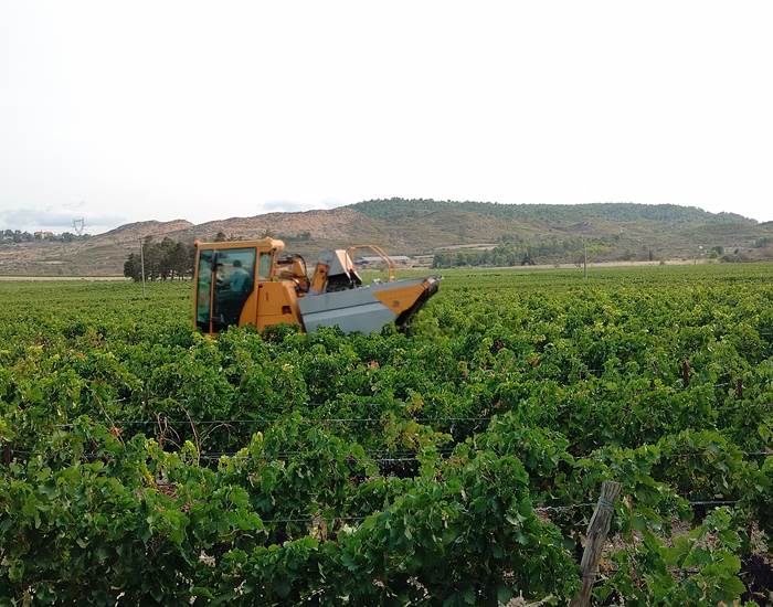 Des séjours à thèmes