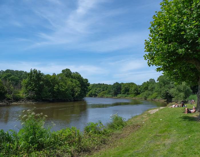 Sèvre Nantaise, la Cale de Beautour