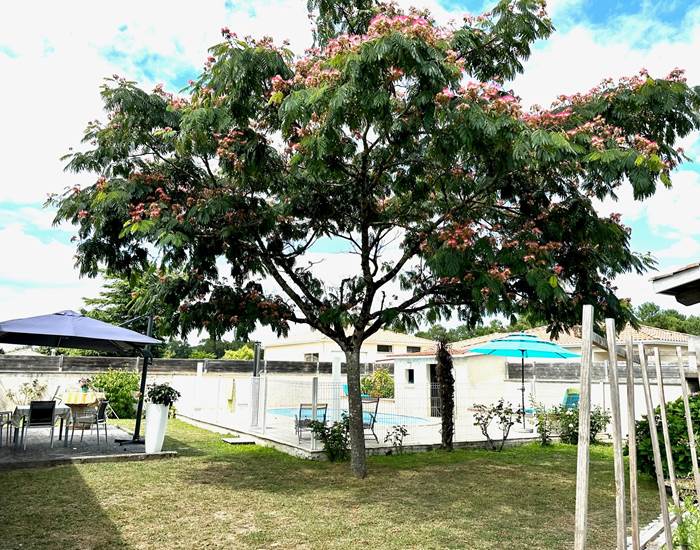 jardin-ombrage-albizia-piscine-chambres-hotes-mas-des-anges-soussans-medoc.jpg