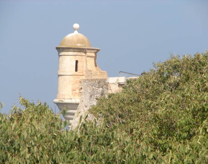 DSC00476