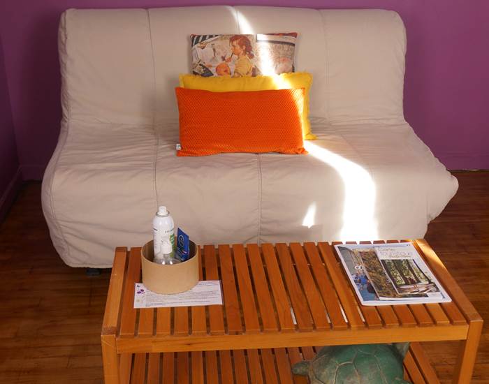 Chambre d'hôtes l'Ephémère - Limoges : Espace salon