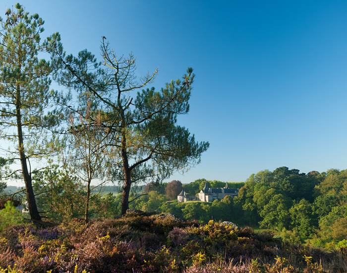 Les Landes La Nature