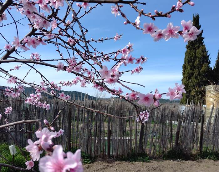 Venez admirer la nature qui se réveille