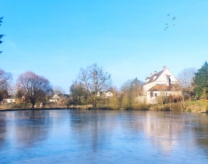 soleil de février à la ferme