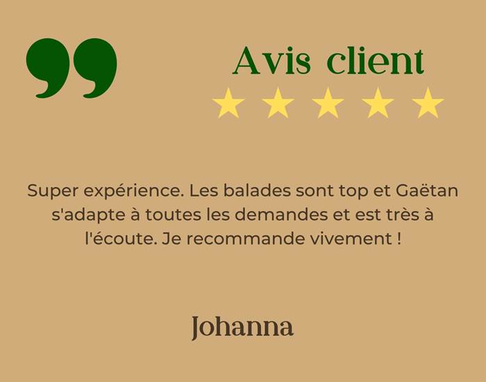 Avis Johanna