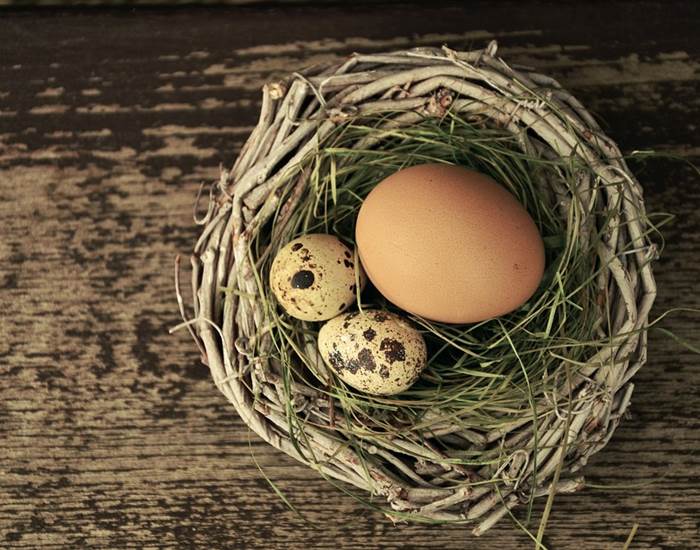 egg-1272815_960_720