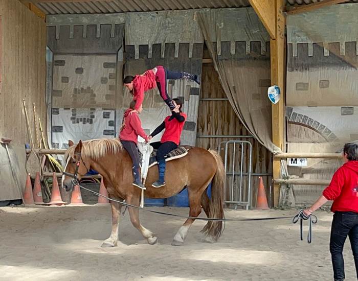 voltige