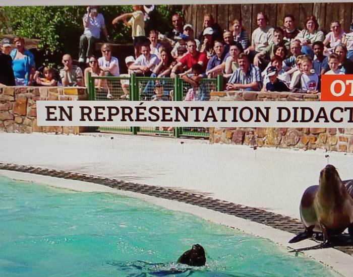Le Monde Sauvage