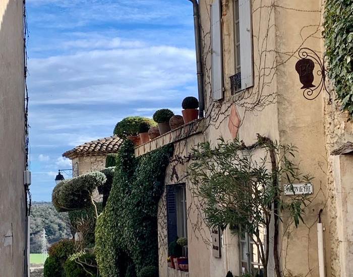 Le salon de thé "Les buis de Lussan"-news