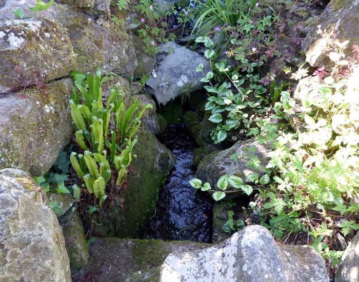 La petite source