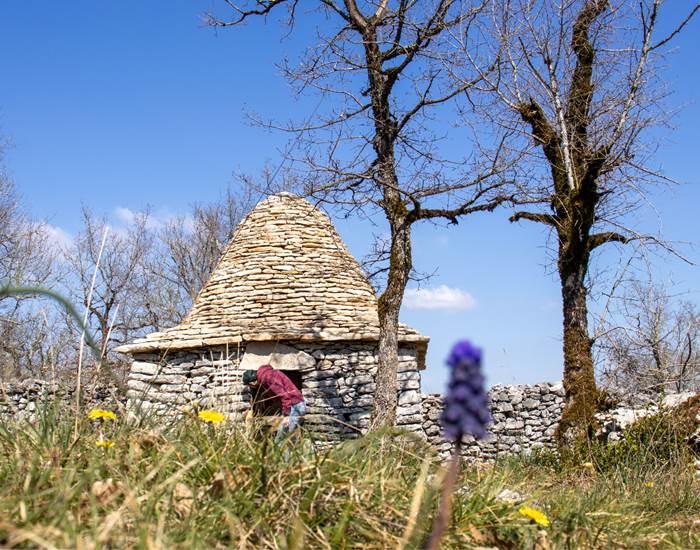 Lot Tourisme -Caselle sur le Causse- © C