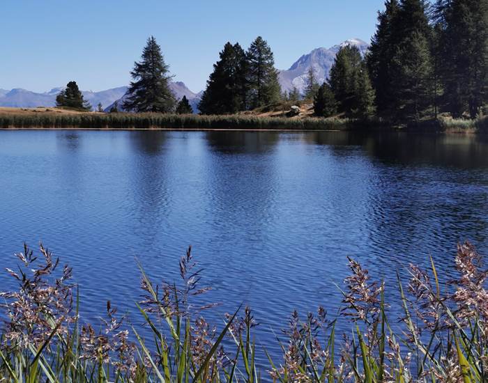 Le lac du milieu
