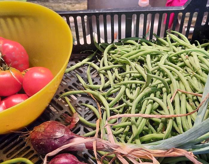 Légumes du potager "Le Coq du Nord -Mailhac"