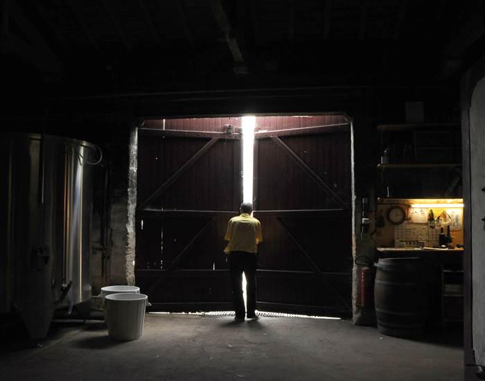 Vignoble, Bio, Biodynamie, Nature, Vins, Domaine, Visite, Dégustation