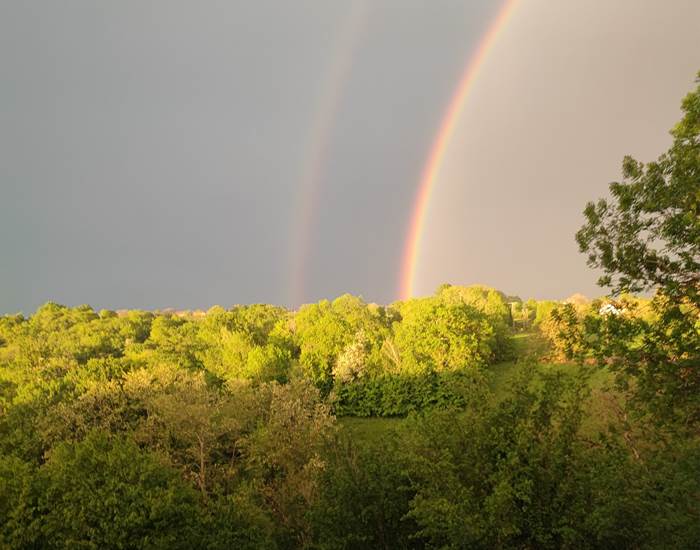 Vue sur la nature