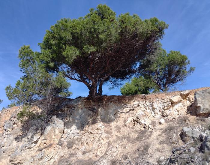 La nature préservée à de nombreux endroits