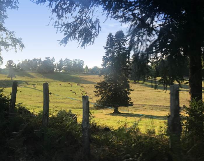 à la croisée des chemins environnants