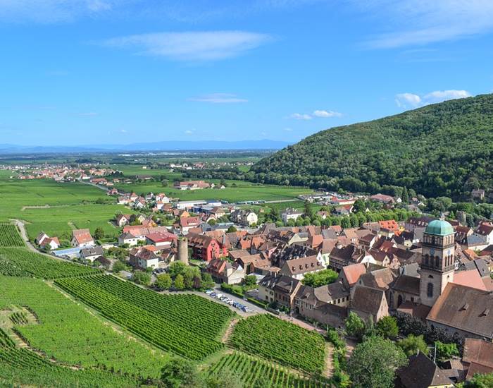 Vignobles d'Alsace au départ de Munster