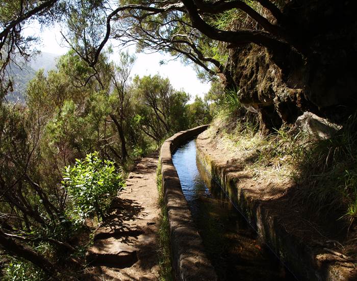 LEVADA