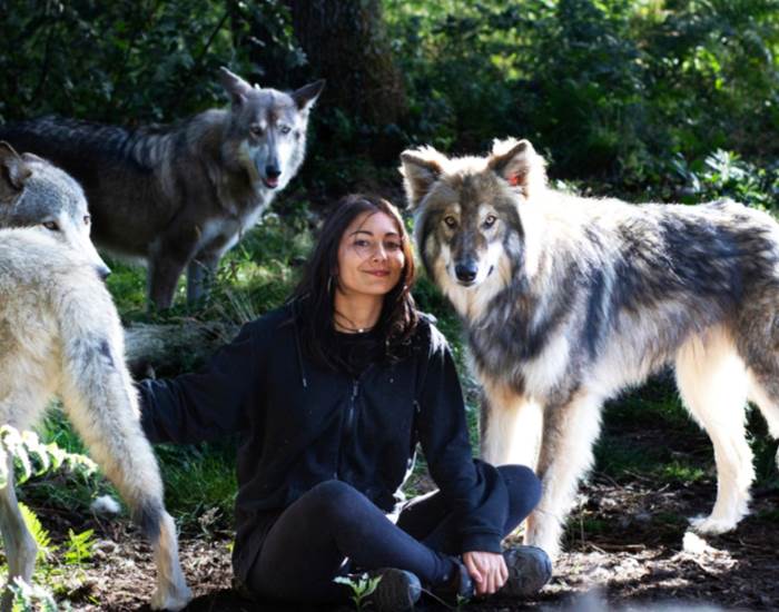 Gîtes, chambre d'hôtes et table d'hôtes gastronomique à Casteljaloux Lot et Garonne, piscine, jacuzzi et spa