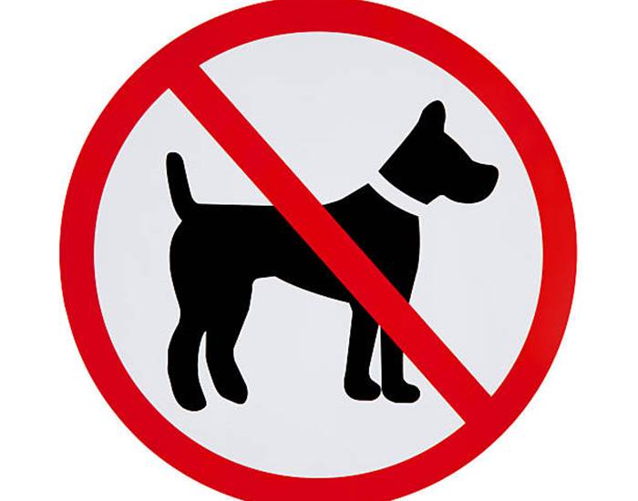 Château interdit aux chiens
