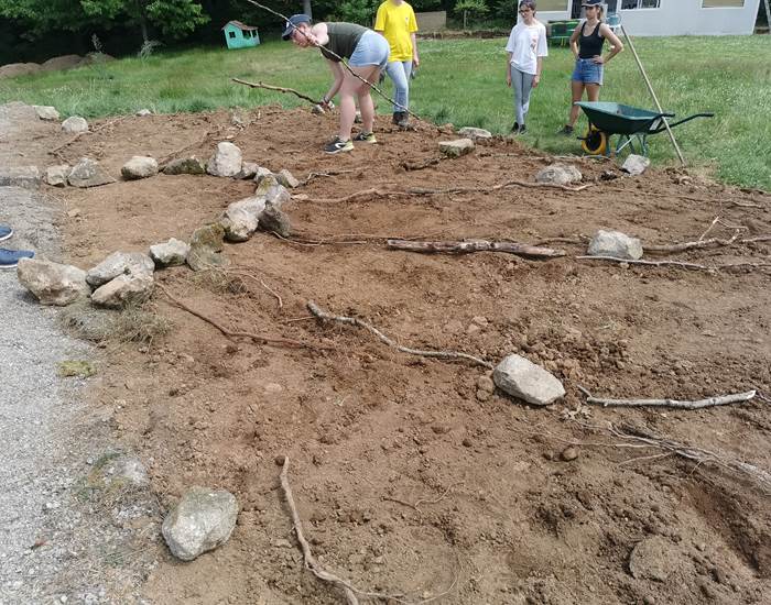 Délimitation des espaces de plantation