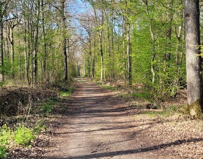 Chemin Randonnée