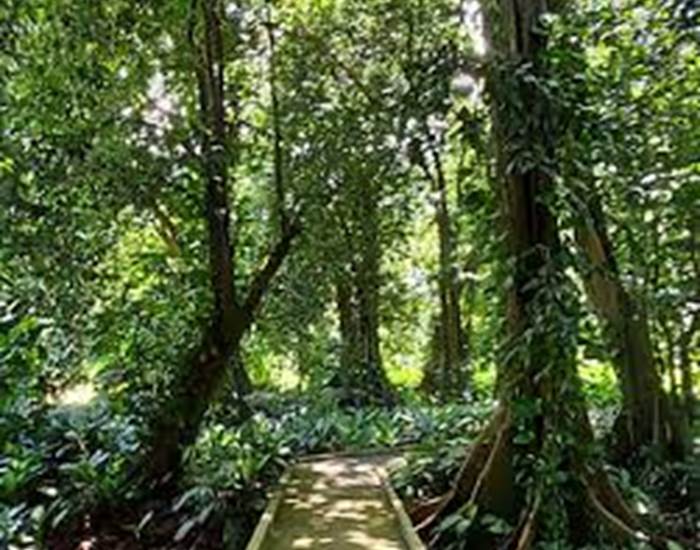 JARDIN B