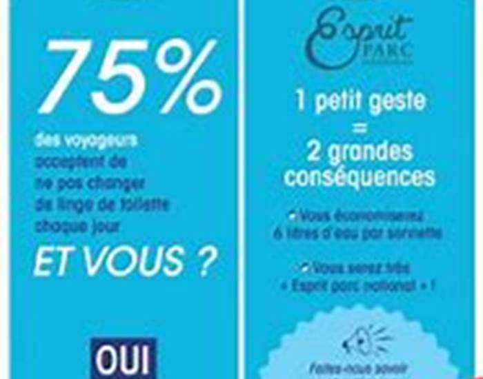 Sans titre