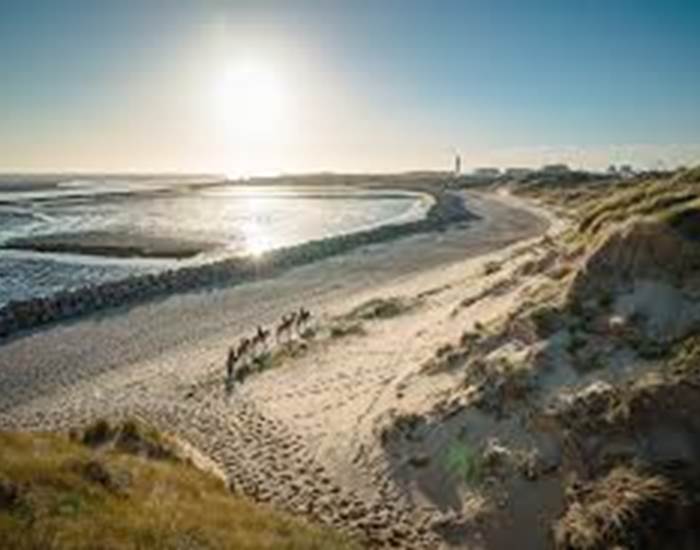 Baie d'Authie - Baie des phoques - Location de vélos Berck -