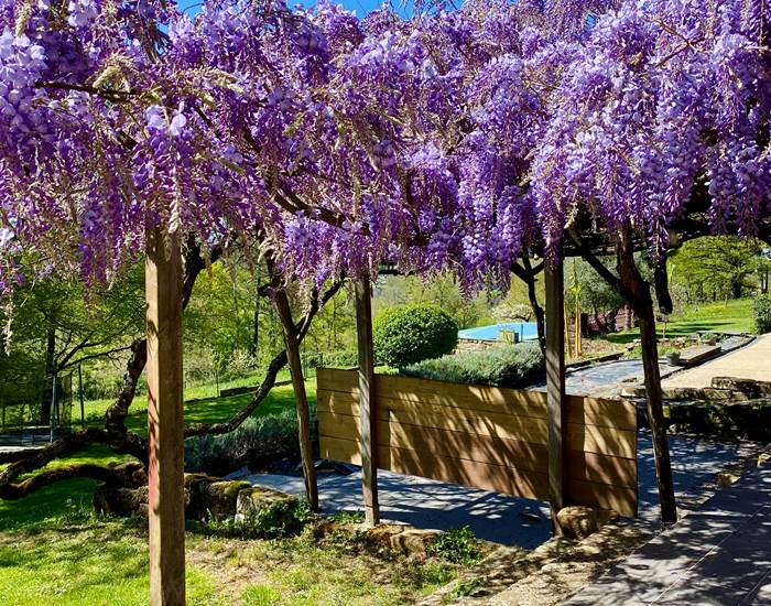 Glycine