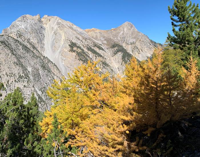 La Clarée aux couleurs de l'automne.